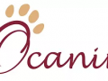 Educateur canin education canine dresseur de chien comportementaliste canin cannes alpes maritimes 06