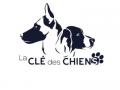 Educateur canin education canine dresseur de chien comportementaliste canin capbreton soustons landes 40