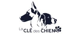 Educateur canin education canine dresseur de chien comportementaliste canin capbreton soustons landes 41