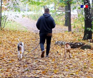 Educateur canin education canine dresseur de chien comportementaliste canin capbreton soustons landes 43