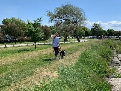 Educateur canin education canine dresseur de chien comportementaliste canin cognac charente 16
