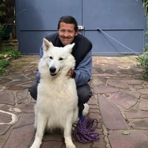 Educateur canin education canine dresseur de chien comportementaliste canin felin equin communication animale la roche sur yon vendee 87