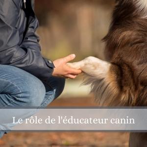 Educateur canin education canine dresseur de chien comportementaliste canin fougeres ille et vilaine 36