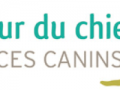 Educateur canin education canine dresseur de chien comportementaliste canin l aigle orne 