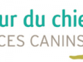 Educateur canin education canine dresseur de chien comportementaliste canin l aigle orne