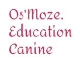 Educateur canin education canine dresseur de chien comportementaliste canin le puy en velay haute loire 43