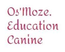 43 Dog education, Behaviorist - Le Puy-en-Velay