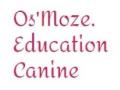 Educateur canin education canine dresseur de chien comportementaliste canin le puy en velay haute loire 43