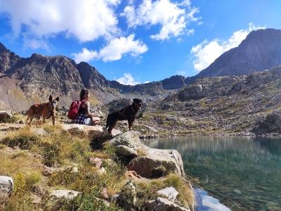 Educateur canin education canine dresseur de chien comportementaliste canin le puy en velay haute loire 43