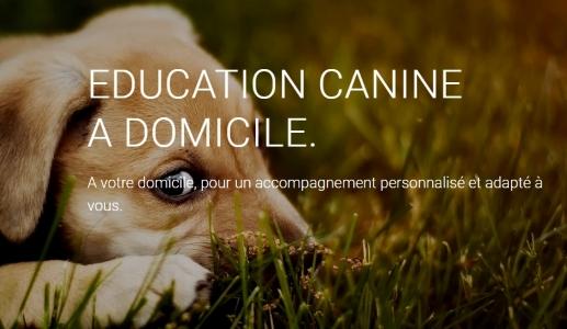 Educateur canin education canine dresseur de chien comportementaliste canin lille 59 nord