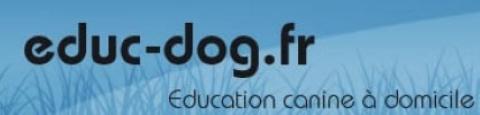 Educateur canin education canine dresseur de chien comportementaliste canin lyon tarare rhone 69
