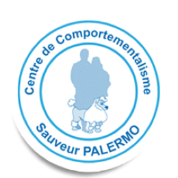 13 Education canine, Comportementaliste - Marseille