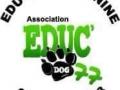 Educateur canin education canine dresseur de chien comportementaliste canin melun nemours fontainebleau seine et marne 77 