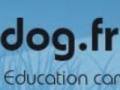 Educateur canin education canine dresseur de chien comportementaliste canin roanne loire 42