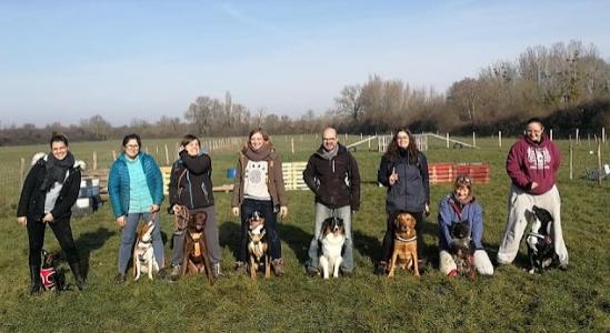 Educateur canin education canine dresseur de chien comportementaliste canin sport canin agility canirando tours indre et loire 39