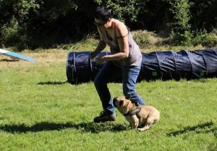 Educateur canin education canine dresseur de chien comportementaliste canin sport canin agility canirando tours indre et loire 40