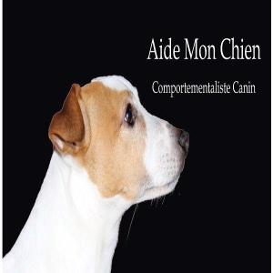 Educateur canin education canine dresseur de chien comportementaliste canin toulon six fours les plages var 83