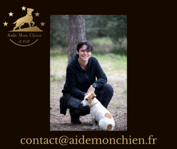 Educateur canin education canine dresseur de chien comportementaliste canin toulon six fours les plages var 83