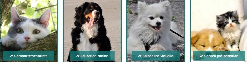 Educateur canin education canine dresseur de chien comportementaliste canin vire calvados 14