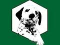 Educateur canin education canine dresseur de chien ecole du chiot comportementaliste canin ancenis loire atlantique 44