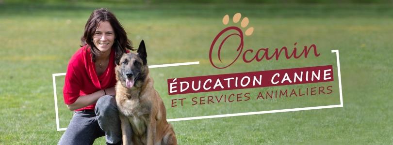 Educateur canin education canine dresseur de chien frejus saint raphel var 83