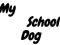 Educateur canin education canine dresseur de chien sport canin agility canirando canivtt comportementaliste canin hazebrouck bailleul nord 59