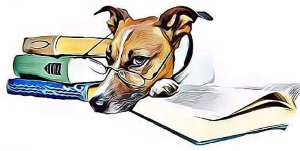 Educateur canin education canine versailles plaisir rambouillet yvelines 78