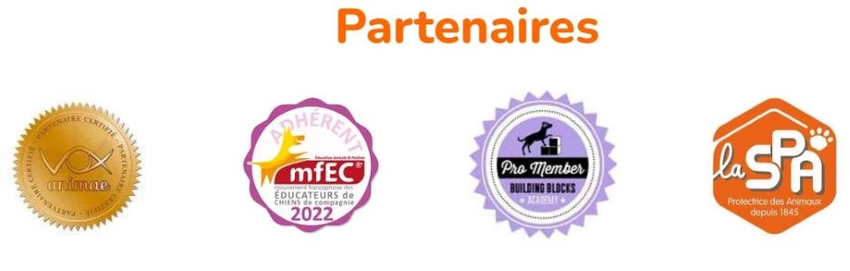 Educateur canin education canine versailles plaisir rambouillet yvelines 79