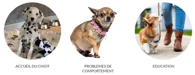 Educateur canin educatrice canin comportementaliste canin annecy haute savoie 74 geneve suisse