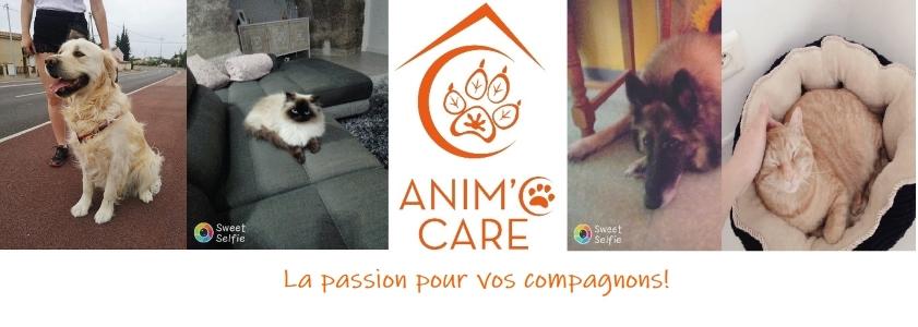 Educateur canin felin comportementaliste montpellier herault 34 france