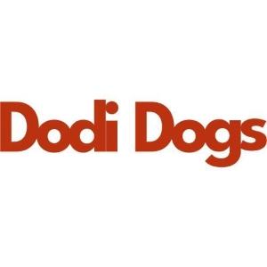 13 Education canine & Comportementaliste - Aix-en-Provence