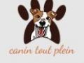 Educateur canin melun education canne fontainebleau dresseur de chien seine et marne 77