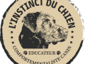 Educateur canin perigueux education canine dordogne dresseur de chien 24 sport canin