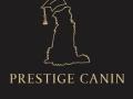 Educateur canin ploermel comportementaliste canin josselin coach canin morbihan cani rando 56