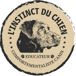 Educateur canin pons education canine mirambeau dresseur de chien charente maritime sport canin 17