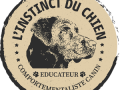 Educateur canin pons education canine mirambeau dresseur de chien charente maritime sport canin 17
