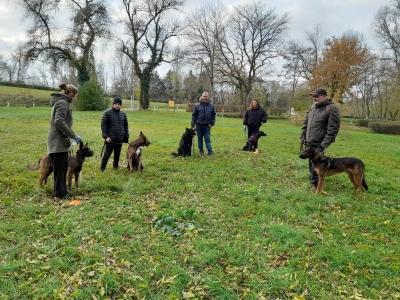 Educateur canin romorantin lanthenay education canine loir et cher