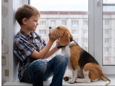 Educateur canin saint denis education canine seine saint denis agility chien 93 cani rando