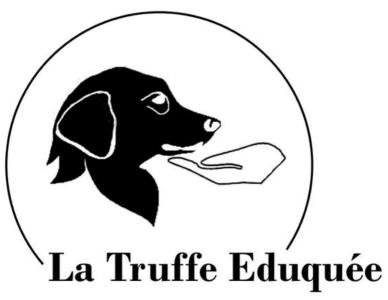 31 Dog Education & Canine Behaviorist - Toulouse