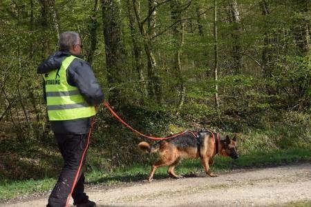 Educateur canin troyes education canine nogent sur seine dresseur de chien aube