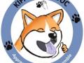 Educateur canin villepreux coach canin plaisir comportementaliste canin saint cyr l ecole education canine yvelines 78