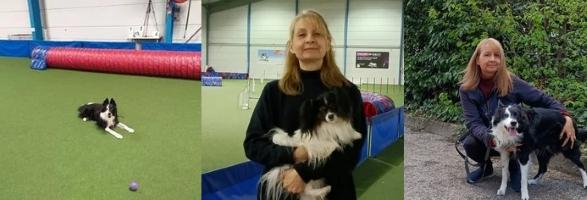 Educateur canin vitry sur seine education canine creteil agility chien val de marne cani rando 94