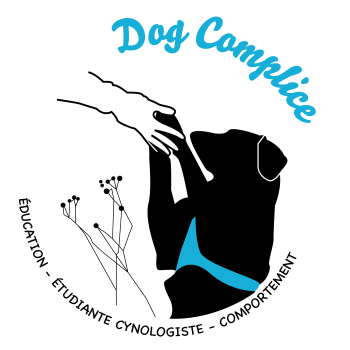 13 Education canine, Cynologiste - Marseille