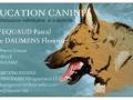 Education canine comportementalisme chien aulnay rochefort charente maritime 17
