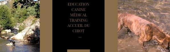 Education canine educateur canin dresseur de chien comportementaliste canin eauze condom gers 32