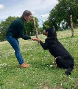 Education canine educateur canin educateur chien adulte educateur chiot nantes loire atlantique 1