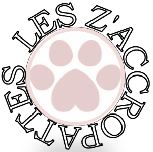 16 Dog training - Behaviorist - Barbezieux-Saint-Hilaire