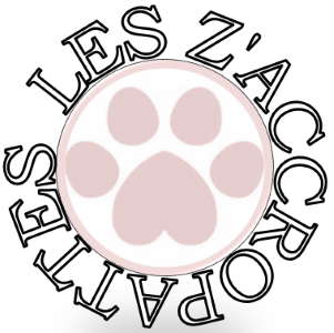 16 Education canine, Comportementaliste - Barbezieux-Saint-Hilaire