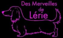 Eleveur chien elevage teckel nain elevage kaninchen nice alpes maritimes 06