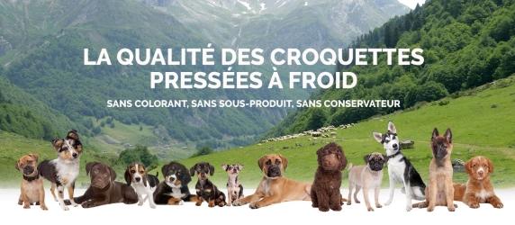 Entrechiensetloups.net